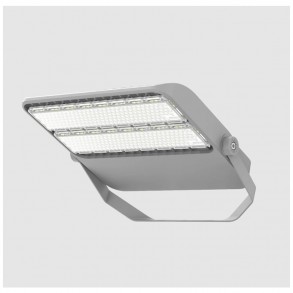 LED Flood Light FL06
